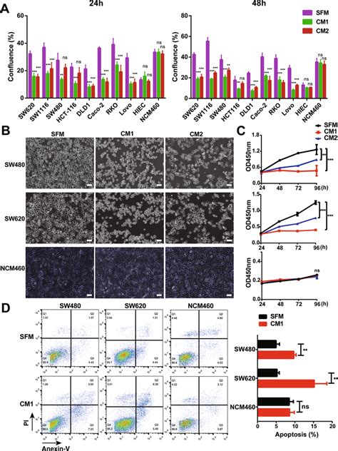 Cm From Mcs Induced The Growth Arrest And Apoptosis Of Crc Cells A The