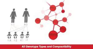 Understanding all Types of Genotype, Blood Group and Compactibility