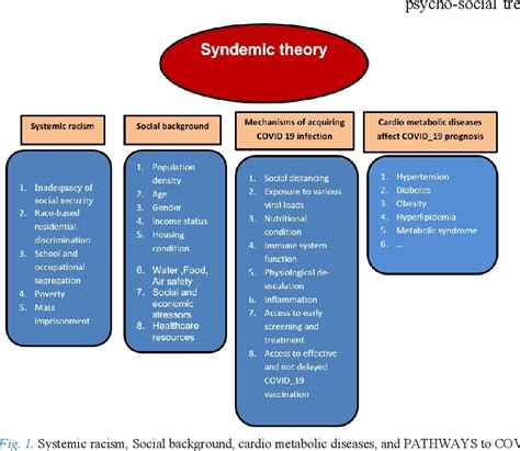 Figure 1 From The Syndemic Theory The Covid 19 Pandemic And The