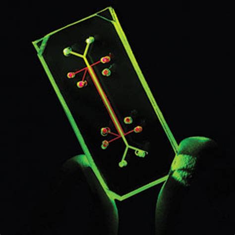 Dec. 21: The Winter Solstice Explained | Scientific American