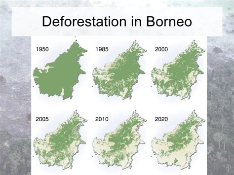 Causes Of Deforestation