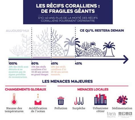 Etude du corail par une approche écosystémique Tara Pacific