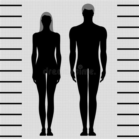 Siluetas Del Cuerpo Humano Del Hombre Y De La Mujer Con Los Indicadores Figuras Infographic