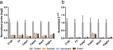 Microarray Validation With RT QPCR And Selection Of Possible PMI