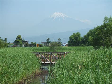 浮島ヶ原自然公園／ハローナビしずおか 静岡県観光情報