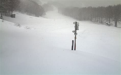 Freddo E Neve In Liguria Allerta Meteo E Fiocchi In Val D Aveto