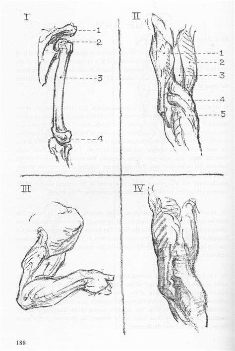 George Bridgman Bridgman Drawings George Bridgman