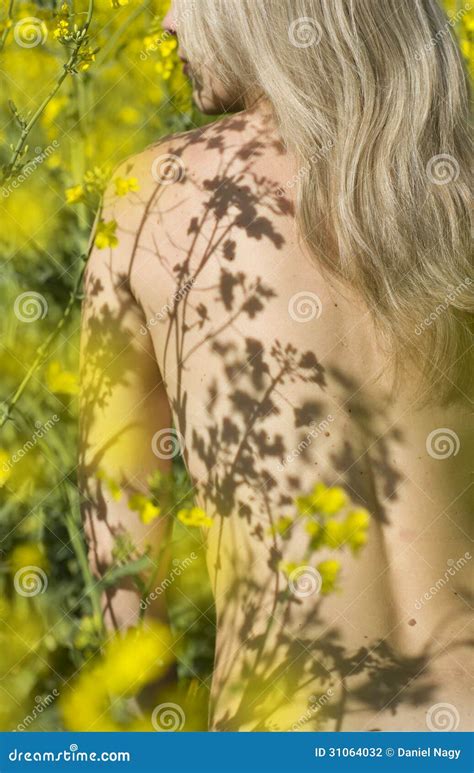 Beautiful Naked Blonde Woman Among Yellow Flowers Stock Photo Image Of Hair Floral 31064032