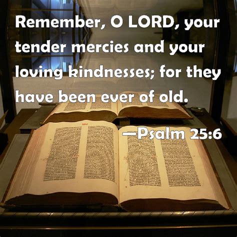 Psalm 25 6 Remember O LORD Your Tender Mercies And Your Loving