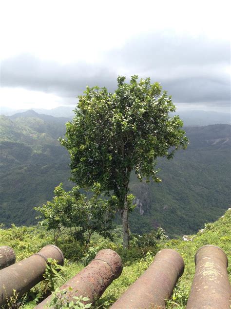 Quelques Belles Images Dhaïti Haïti En Chœur