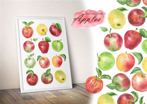 Watercolor Apples Clipart Apple Clip Art Fruits Slices Of Etsy