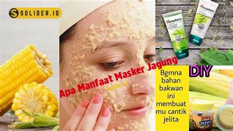 Manfaat Masker Jagung Yang Menakjubkan Dan Jarang Diketahui Solider