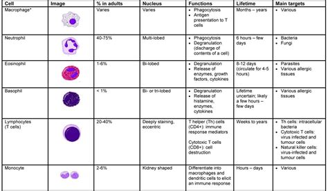 An Introduction To Immunology And Immunopathology Allergy Asthma