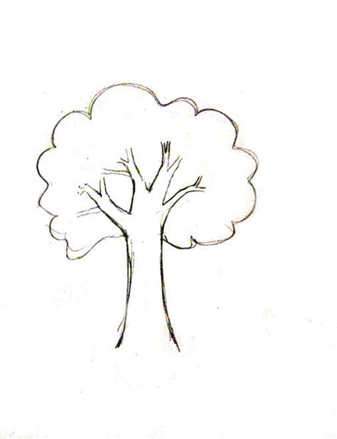 Step By Step Simple Tree Pencil Drawing | Easy Drawing Ideas