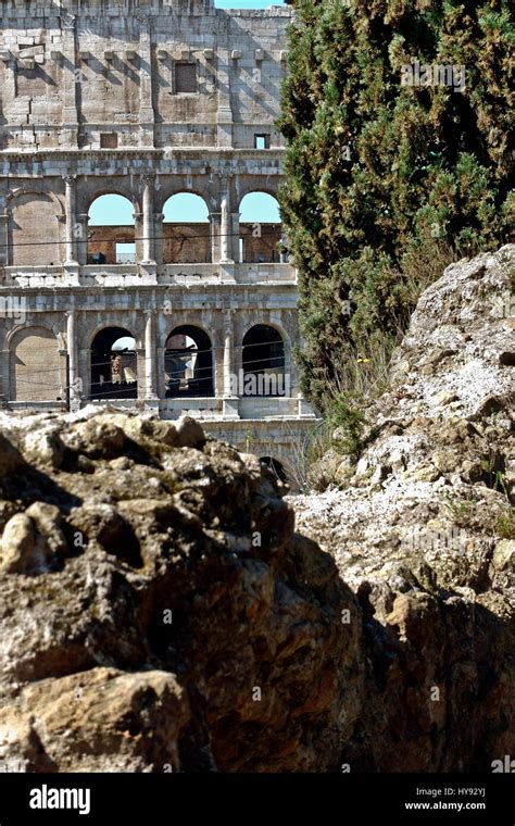 Close Up Of The Exterior Of The Roman Colosseum Also Known As Flavian