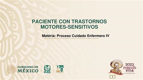 Paciente Con Trastornos Motores Sensitivos Ady Pera Udocz