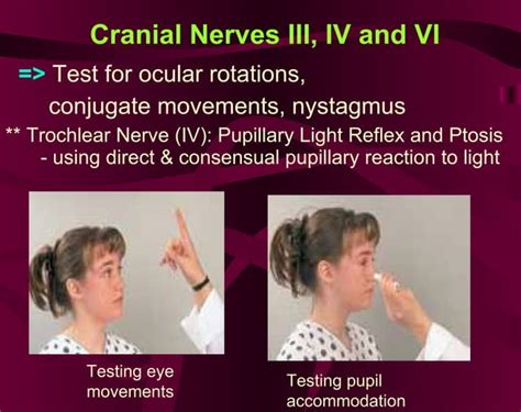 Neuro Assessment Ppt