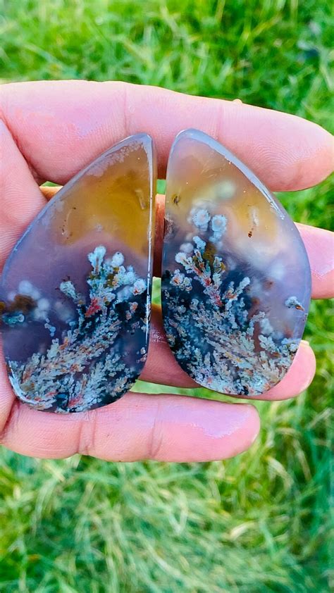 Natural Multicolour Top Quality Plume Agate Cabochons Natural Etsy