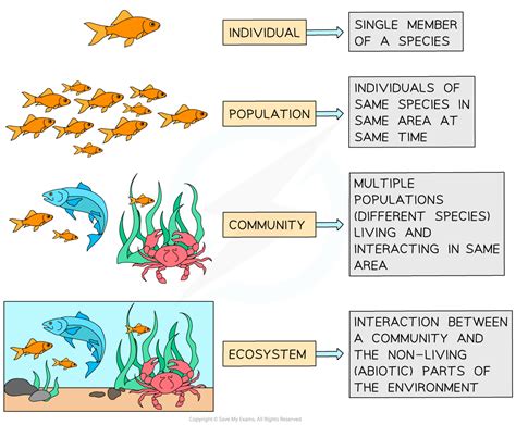 Communities Aqa Gcse Biology Combined Science Revision Notes