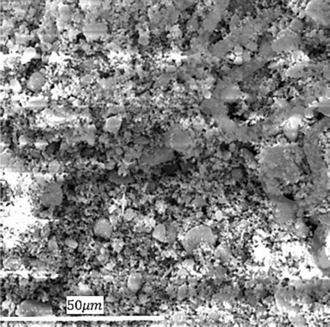 Sem Image Of The Alumina Nanoparticles Download Scientific Diagram