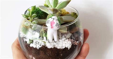 Sinapore Terrarium Diy Home Kit Or Workshop In Funan And Great World