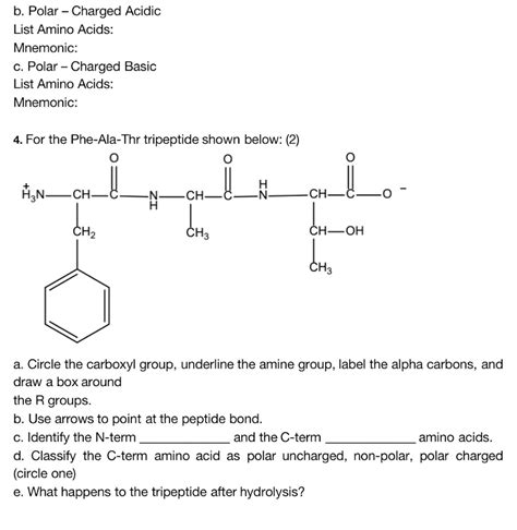 Solved B Polar Charged Acidic List Amino Acids Mnemonic C Polar Charged Basic List Amino