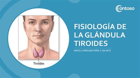 Fisiología De La Glándula Tiroidespptx