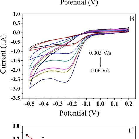 A Cyclic voltammogram of the electrodes in 20 μM ARN B cyclic