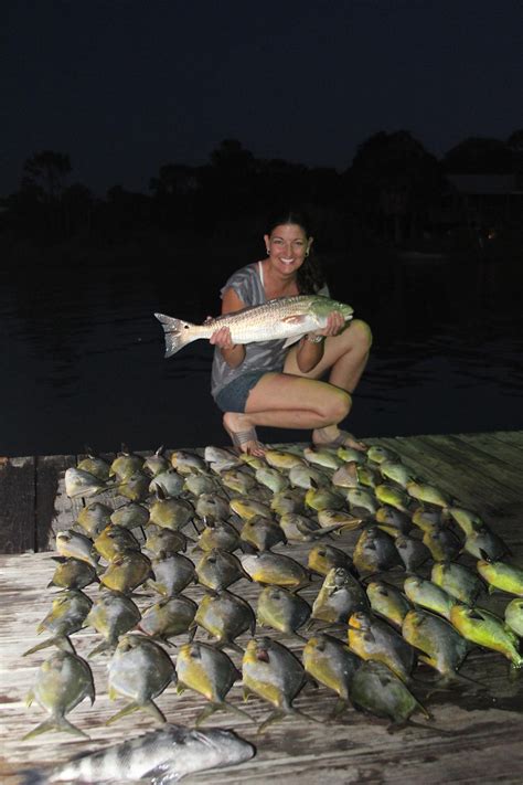 Island Charters Fishing Report St George Island Florida