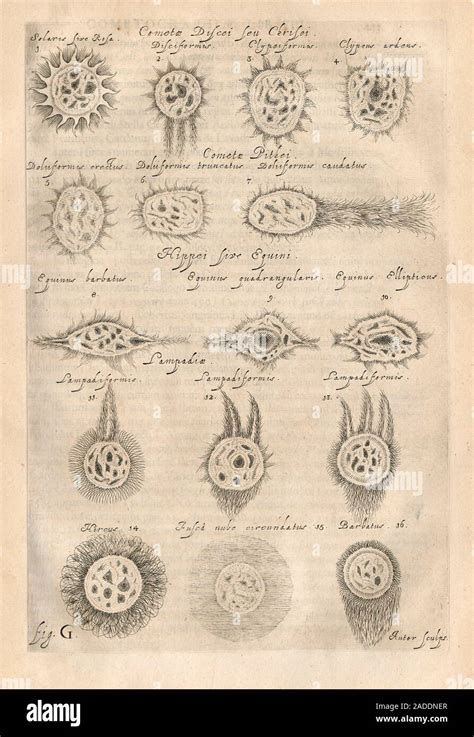 Types Of Comets Illustration From Cometographia 1668 By The Polish