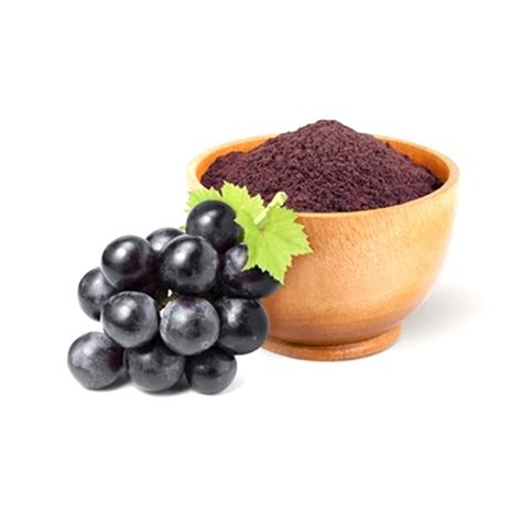 Jamun Fruit Powder at Rs 400 kg जमन क पउडर in Chhindwara ID