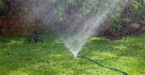 Watering New Grass Seed Techniques To Get Perfect Lawn