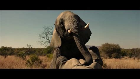 The Brothers Grimsby elephant scene - YouTube