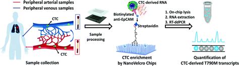 Advances In Droplet Digital Polymerase Chain Reaction On Microfluidic Chips Lab On A Chip Rsc