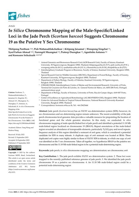 Pdf In Silico Chromosome Mapping Of The Male Specific Linked Loci In The Jade Perch Scortum