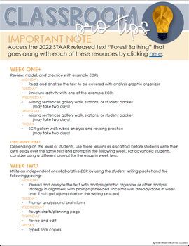 English I Staar Ecr Extended Constructed Response Samples And Practice