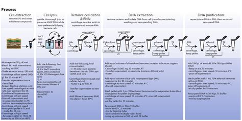 Extraction Of High Molecular Weight Dna From Microbial Mats Protocol