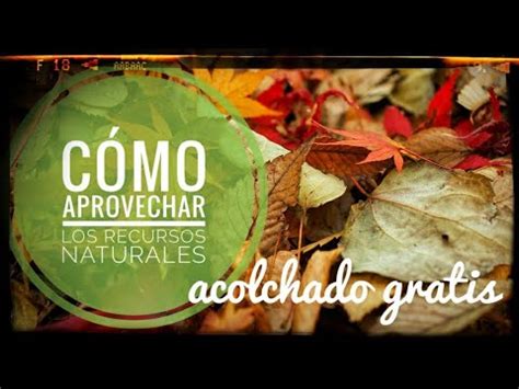 Cómo aprovechar los recursos NATURALES en nuestra HUERTA El poder