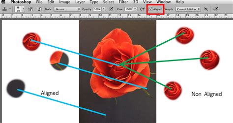 Popular Tools in Photoshop: Clone Stamp Tool