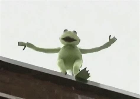 Kermit Falling GIF - Kermit Falling Building - Discover & Share GIFs ...