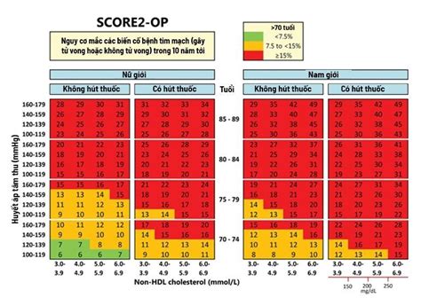Thang điểm SCORE, SCORE2: Dự đoán nguy cơ bệnh tim mạch 10 năm