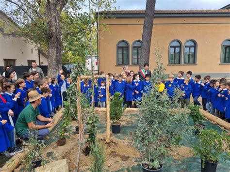 Alla Scuola Di San Piero A Grado Nasce Un Bosco Didattico CASCINA Notizie