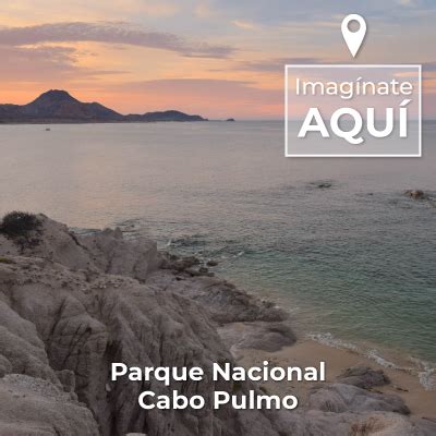 Parque Nacional Cabo Pulmo Comisi N Nacional De Reas Naturales