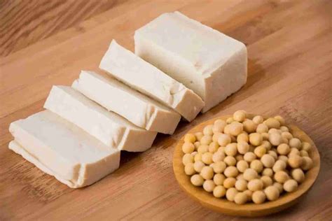 Insights On Soy A Comprehensive Overview Fp Group