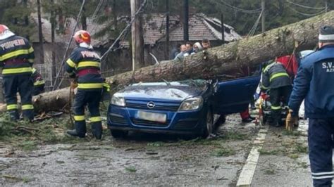 Un Copac A C Zut Peste O Ma In Aflat N Mers Pe Dn N Azuga Trafic