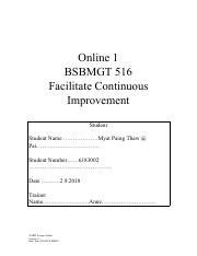 Online Facilitate Continuous Improvement Bsbmgt Pdf Online