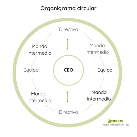 Ejemplo De Organigrama Circular De Una Empresa Ejemplo Sencillo Images