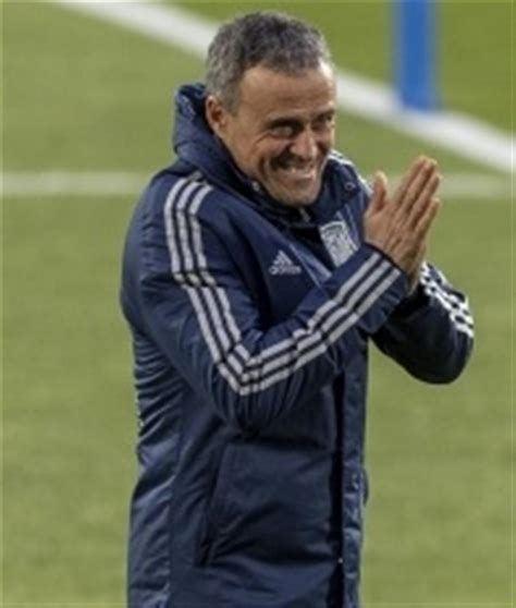 I'd like to coach in Premier League: Former Spain coach Luis Enrique