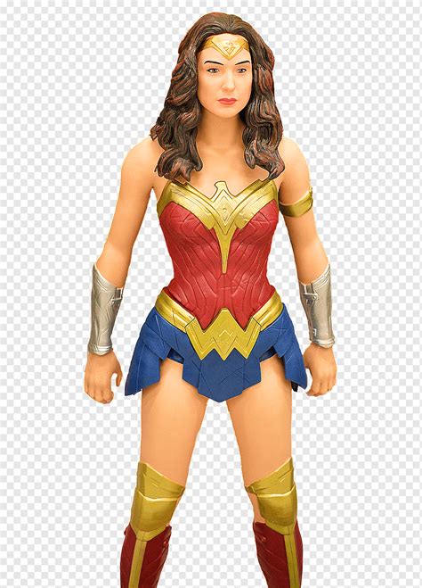 Wonder Woman Superhero Kostum Wanita Wonder Woman Superhero Karakter