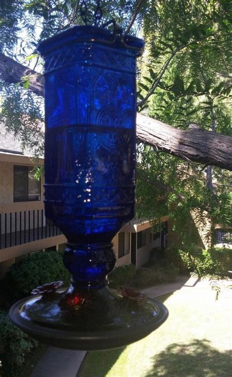 Blue Glass Hummingbird Feeder Beautiful Bottle Adorable Etsy